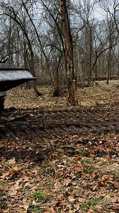 Turner Logging, LLC on Reels