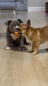 before you bully first of all think of the person behind the person you are pulling him | Chikodi Pascal Ogu