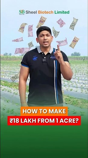 Profitable Strawberry Farming in India | Complete Setup, ROI & Market Strategy