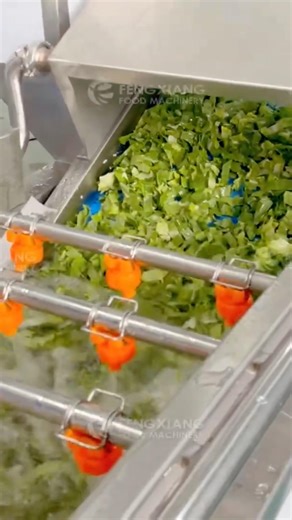 Salas Production Line, Green Leaf Lettuce Cutting Washing Dewatering Drying Machine