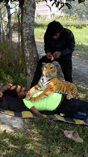 I Pranked Everyone for 24 Hours ! #shorts #tiger