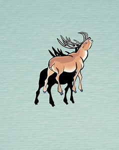 🤔😎🌹😍 | DoDo channel