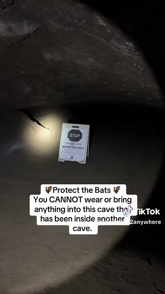 Explore Oregon’s Lava River Cave: A Hidden Gem