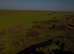 The Pitzer Ranch on Reels