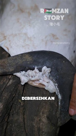 From Skin to Survival Food