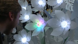 See how Android Things can read your emotions