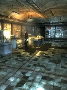 Funniest Moments from Fallout New Vegas Interactions