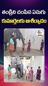 తండ్రిని చంపిన ఏనుగు కుమార్తెలకు ఆశీర్వాదం