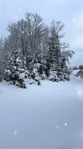 Christmas Day in Maine #fyp #winter #snowfall #christmas #maine