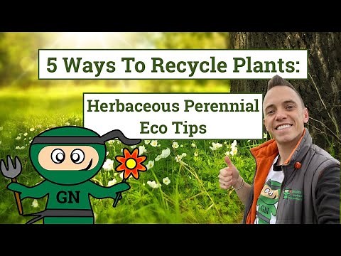 5 Ways to Recycle Plants in the Garden: how to reuse plants