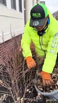 Mi gente gracias a todos por mírar nuestro videos así nomás como trabajamos los yarderos en USA🇺🇸