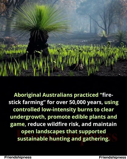 Aboriginal fire-stick farming used basic thermodynamics to turn continent into a sustainable garden.