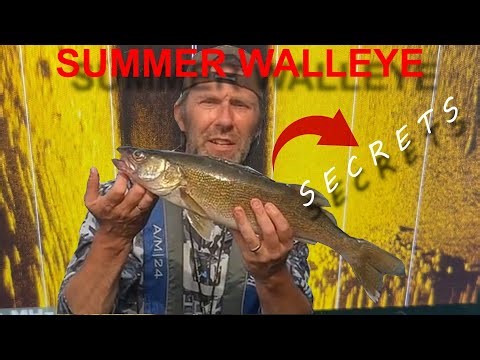 Summer Walleye Secrets on the Mississippi River