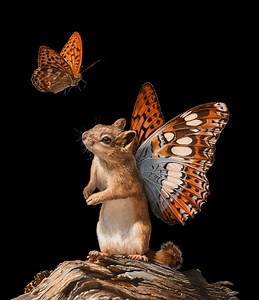 Fuzzy Mice Breed with Butterflies in Uncanny Photorealistic Paintings