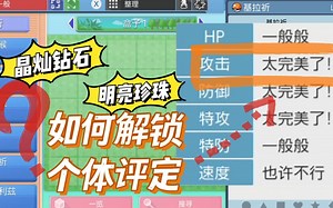 【BDSP】解锁宝可梦个体评定位置