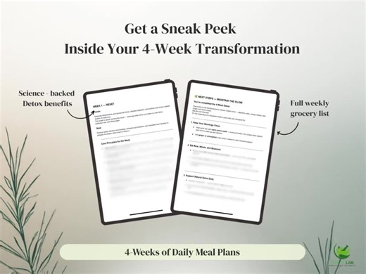 4-week Detox Meal Plan   Free Planner Bundle | Clean Eating Reset | Printable Digital PDF - Etsy