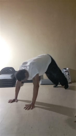 Workout cardio at home. #legs #lowerback #arms #core | simple solutions shorts