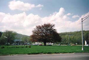 Ledgewood Circle - Alchetron, The Free Social Encyclopedia