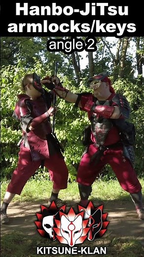 Hanbo-JiTsu armlock 3 #martialarts #samurai #ninja