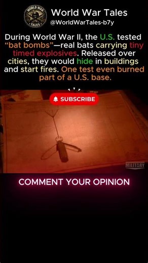 US tested bat bombs and lost their own base #shorts