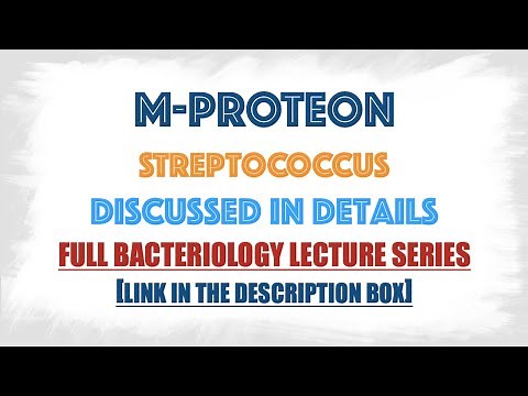 M protein of Streptococcus : Pathogenesis