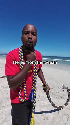 Unlocking the Benefits of Kelp: The Ocean's Superfood