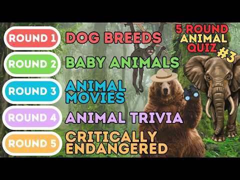 The 5 Round Animal Quiz | Dog Breeds, Baby Animals, Animal Movies, Trivia & Endangered (3)