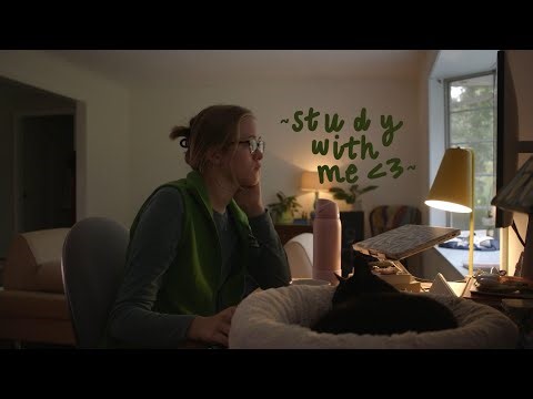 early morning study with me - five hours, 50/10 pomodoro split