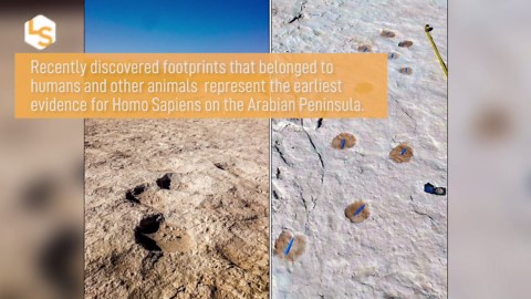 Earliest Evidence for Humans on Arabian Peninsula