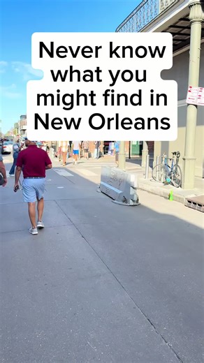 The New Orleans streets always provide //// I make fun videos around New Orleans, highlight local businesses, New Orleans life, and I’m a licensed tour guide offering daily New Orleans adventures! DM me for more info! #nola #neworleans #louisiana