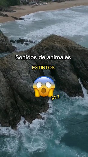 Cuentas recomendadas