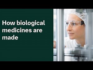 Biopharmaceutical manufacturing process | Boehringer Ingelheim BioXcellence™