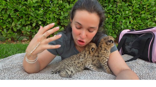 They could feel the babies moving - The wildcat pregnancy gets real