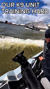 102K views · 1.2K reactions | Our K-9 unit working hard on the bay - Police calls aren’t limited to the shore and streets; we might be needed anywhere. Our handlers and dogs were in the water recently training for more marine-based purposes. Do you desire to be part of this team? Not afraid to get wet? Apply today with the link in bio #GreenBayPD #applynow #linkinbio #police #nowhiring #GreenBay #titletown #k9 | Green Bay Police Department | Facebook