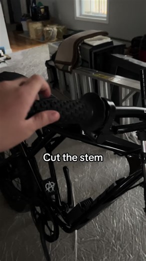 Cut the RidStar Stem: A Complete Guide
