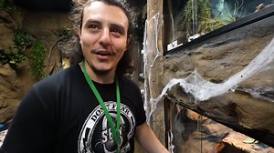 The close call that proved how unpredictable giant anacondas can be