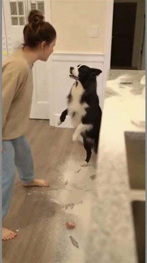 Egg Blast Disaster #feedshorts