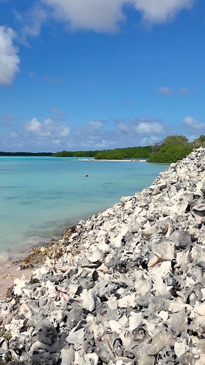 Bergen karkoschelpen, een helderblauwe zee en een fijn strand. Cai is uniek en prachtig! | Beautiful Bonaire