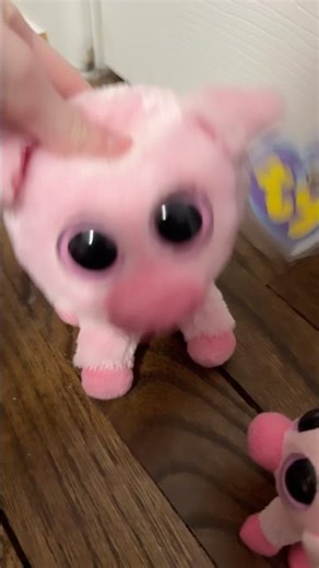 CORKY how dare you!!!! Such a bad beanie boo 😒