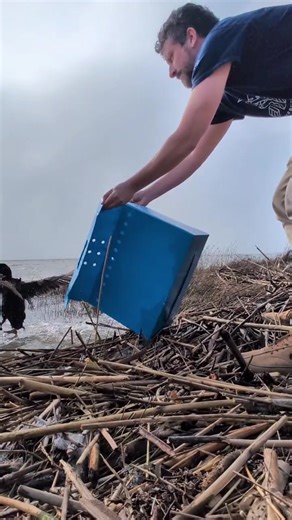 Leaving Work Like a Surf Scoter: A Friday Vibe