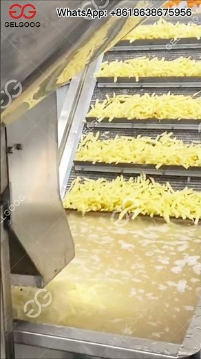 Comment Sont Fabriquer Les Frites - Ligne De Production Frite Fraîche