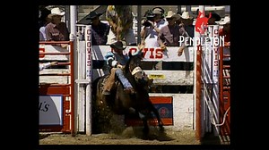 8.2K views · 568 reactions | Kelly Wardell was a fan favorite during the 2000 Clovis Rodeo with an 80-point ride. He earns this week's PRCA Archived Rides, presented by Pendleton Whisky Director's Reserve; Top-end, aged, curated and carefully preserved. | PRCA ProRodeo | Facebook