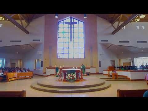 11:00 am Misa Español: 18 de Enero de 2026: “Segundo Domingo Ordinario”