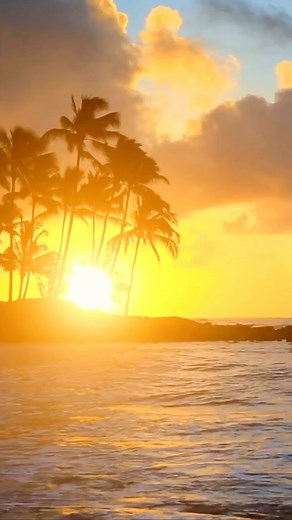 Incredible sunset, Hawaii 🌺🌅 #beachvibes #beachlife #vacationlife #travellovers #oceanlover #palms #relaxmusic #vacationmode #whitesand #blueskies #traveldestination #chilling #goodvibes #hawaii #traveling #aloha #beautifuldestinations #beautifulworld #hawaiilife #hawaiistagram #hawaiilove #hawaiitrip #hawaiivacation #hawaiiphotographer #hawaiitravel #hawaiiphotography #honolulu #mauihawaii #hawaiiisland #hawaii2023 | Relaxation