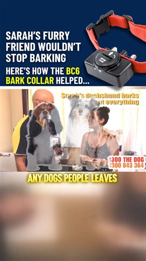 Sarah’s dog barked at everything that moved… until she tried the BC6 Bark Collar. Learn more about the BC6 bark collar here: thedogline.com.au/buy/barking-dog-training-collar-1?ref=bq | The Dog Line