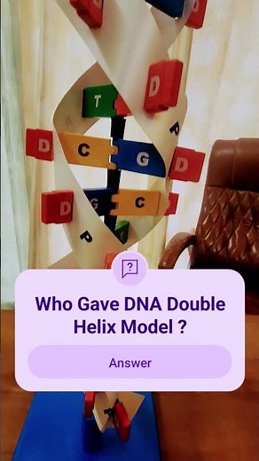 The Secret Structure of DNA (Double Helix Explained)