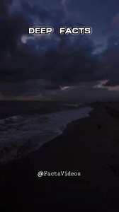 7 SIGNS of an authentic person #psychologyfacts #fyp #foryoupage #reels #fbreelsvideo #reelsvideo #followformore #factsvideos #foryouシ | Facts Videos