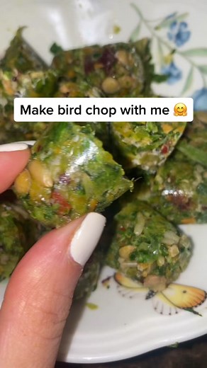 Healthy Bird Food Recipe: Bird Chop Tutorial 🌿