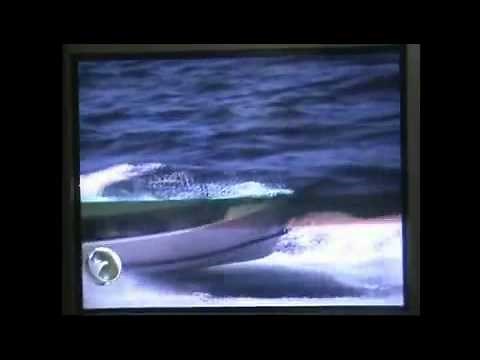 Indonesian navy killed somalian pirates