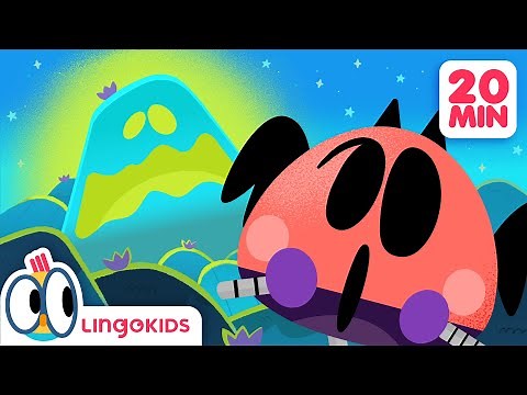 Changing SEASONS 🌦️ discover fun CARTOONS FOR KIDS 🌈 | Lingokids